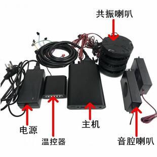 按摩养生理疗用体感音乐振子套装共震振动喇叭 床垫振动器