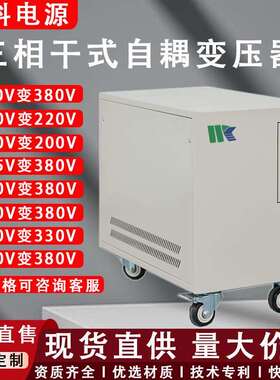 3KVA三相自耦变压器380V转220/200V480V415V110V进出口调试设备
