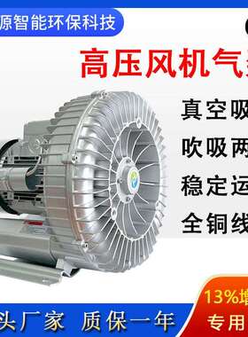 2JM630H16防爆高压鼓风机DIIBT4/DIICT4粉尘防爆工业高压漩涡气泵