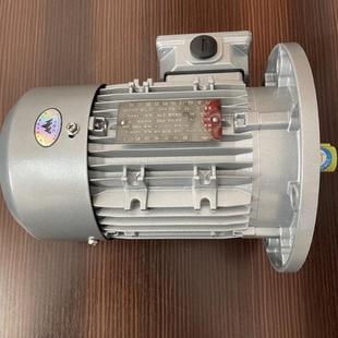 132M YE4 7.5KW丹东山川 江晟微型铝壳电机 YE2 赛孚特 YE3