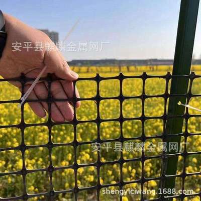 塑料围栏养鸡防护网育雏漏粪网土工格栅圈地养殖网果园防护网鱼塘