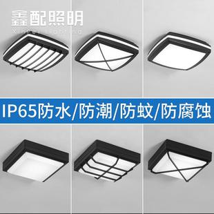 防水户外吸顶灯防虫阳台庭院凉亭入户大门口走廊过道室外房檐顶灯