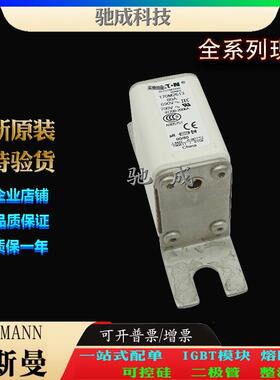 巴斯曼170M2613 170M2614 170M2615 现货直销厂价销售 高速熔断器