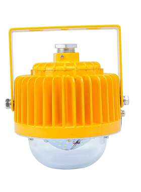 浙江三乐照明免维护led防爆灯SLD3100 30w仓库加油站照明节能灯