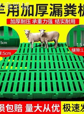羊用漏粪板加厚塑料羊牀羊圈用地板羊牀板养羊专用接粪板羊漏粪板