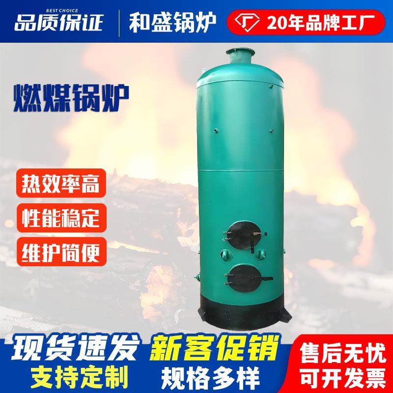 和盛立式燃煤反烧锅炉直烧锅炉洗浴干洗食品加工工厂采暖服装洗涤