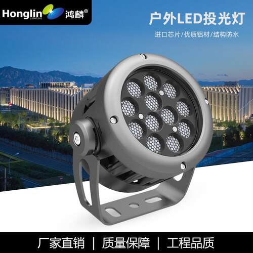 新款led圆形投光灯户外公园照树园林景观灯大功率12W24W36W投射灯
