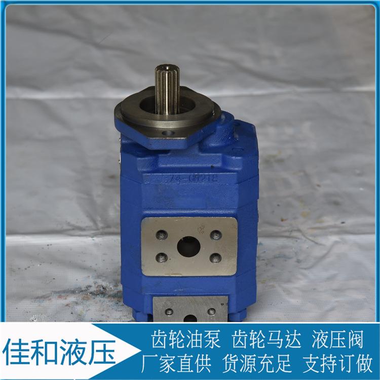 P124B182XDZA05-54PBZA02-1泊姆克双联齿轮泵