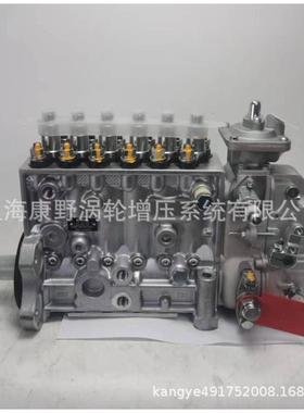 康明斯喷油泵4063536 0402066729 6743-71-1131 和3938796
