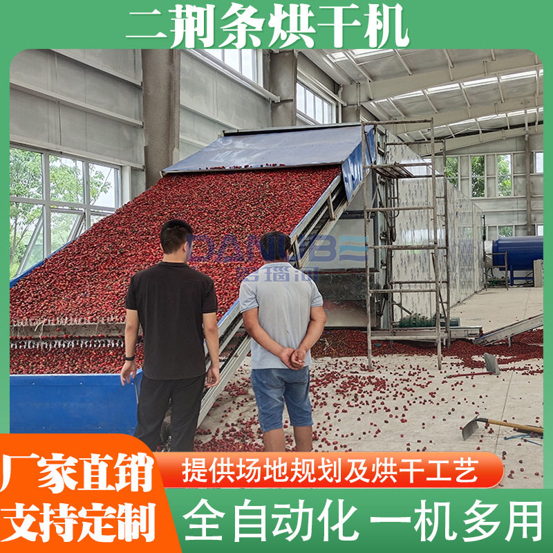 二荆条烘干机 贵州二荆条红辣椒色选去把烘干线 辣椒大型烘干设备