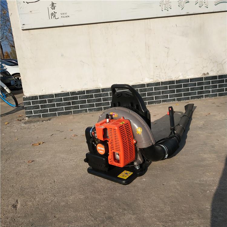 汽油四冲程吹雪机 手持式除雪机价格 背负式汽油吹风吹雪机图片