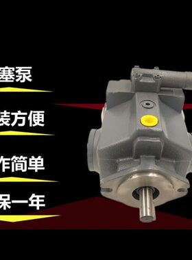 计-器R21系列V2121-B东京塞泵2010C柱PJ--MS1VPCM-