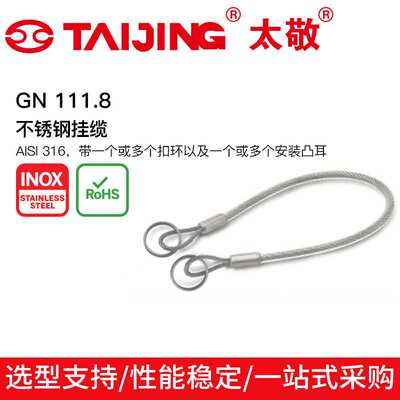 电缆连接安装不锈钢挂缆GN 111.8不锈钢挂缆AISI 316带扣环及凸耳