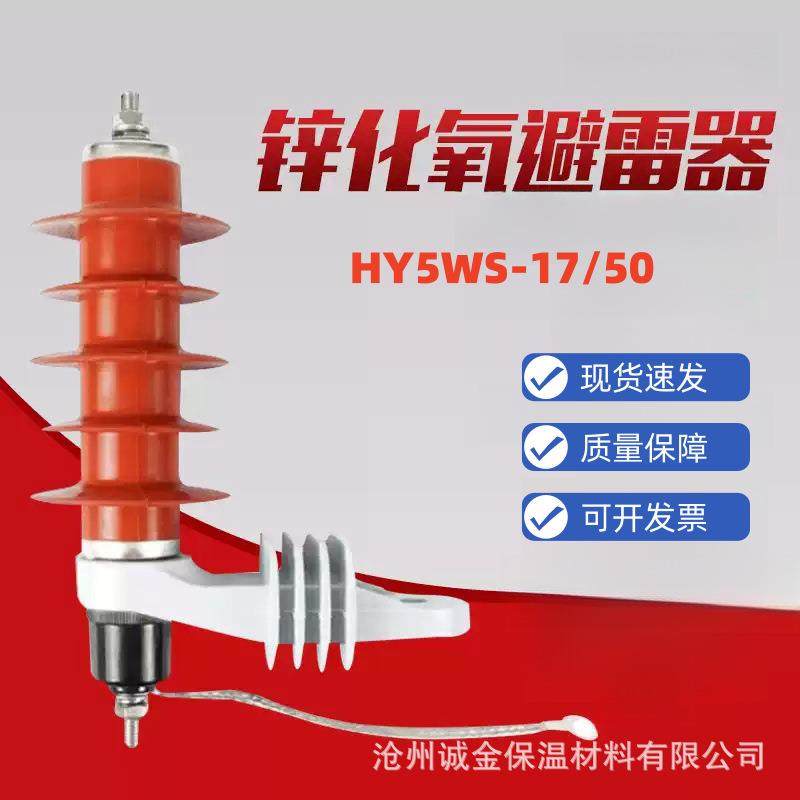 高压避雷器10KV户外氧化锌避雷器HY5WS-17/50L防雷器带脱离器支架