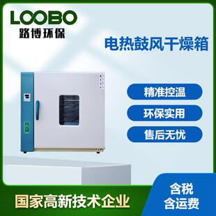 热风循环烘箱 开门自动断电PID智能控温仪表 电热鼓风干燥箱