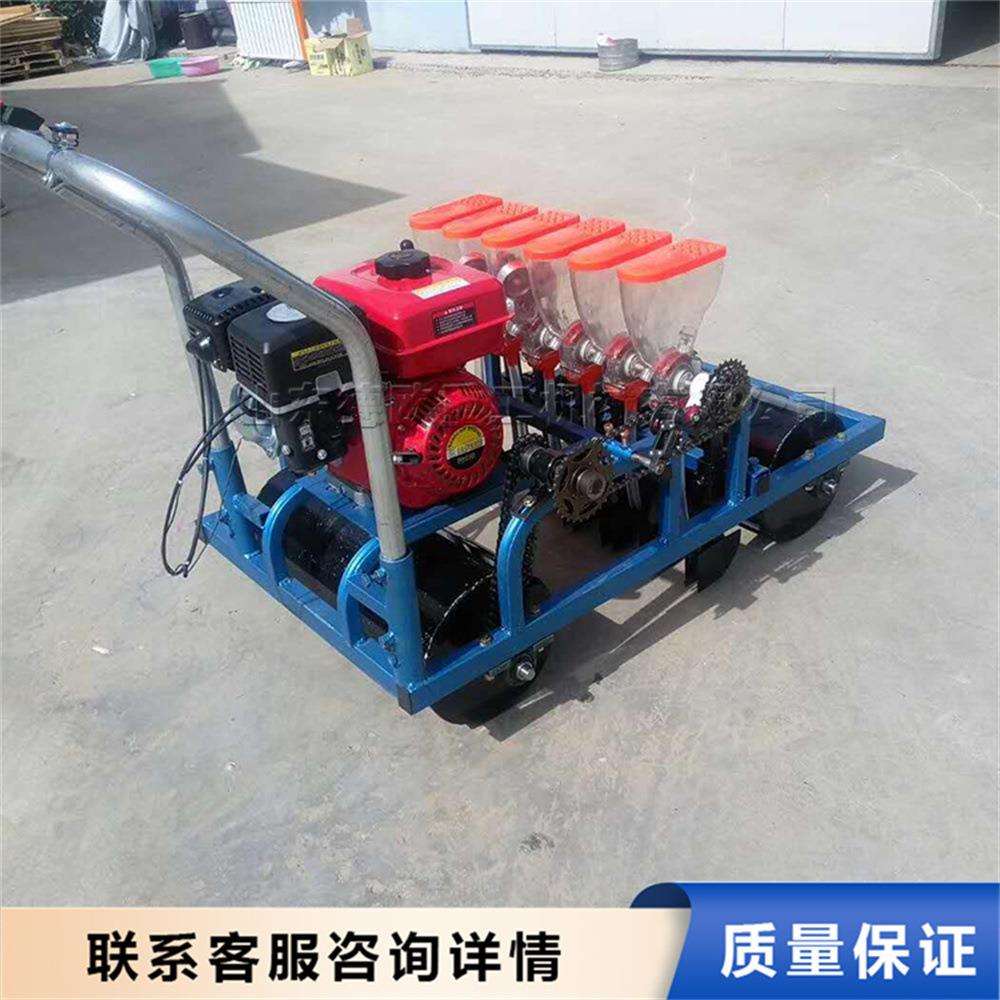 手推式小型蔬菜播种机 菜园蔬菜播种机 开沟撒种覆土一体工具