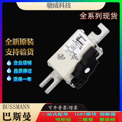 巴斯曼170M3244 170M3245 170M3246 销售供应直销价优 特种保险丝