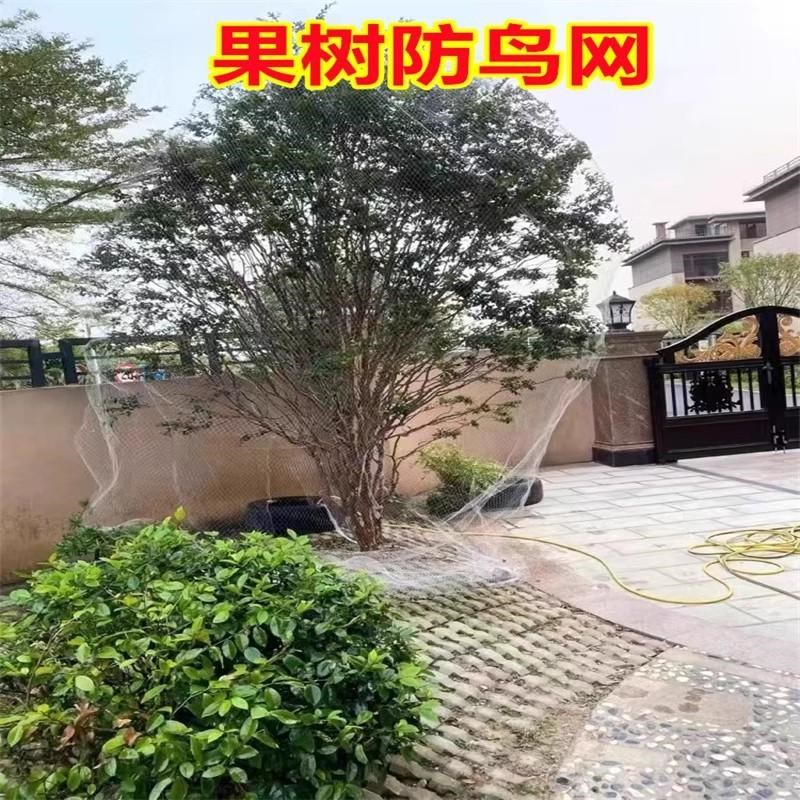 果树防雀网防鸟罩嘉宝果枇杷樱桃蓝莓果园尼龙防护网菜地保护罩