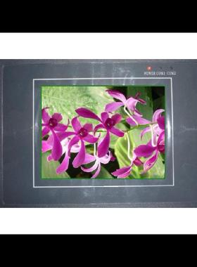 维修威纶触摸屏MT4300L、MT4300C、MT4300T