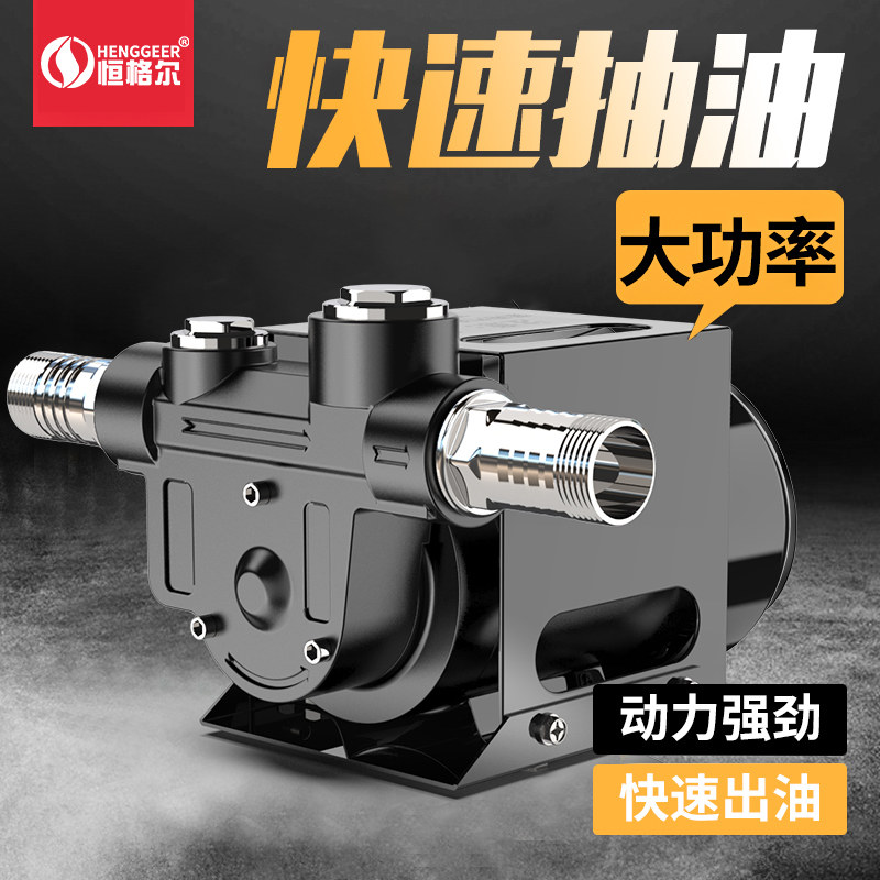 恒格尔电动抽油泵12V24V220V大流量直流柴油泵加油机电动加油泵