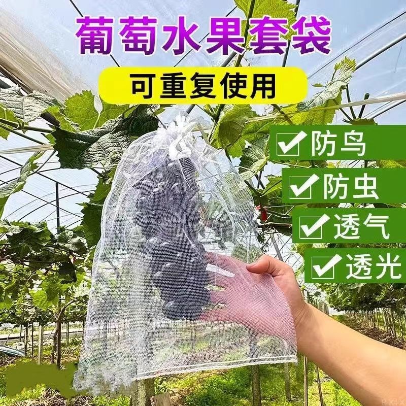 水果套袋防鸟网纱袋透气瓜果防虫袋果树无花果葡萄桃子草莓保护袋
