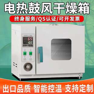 电热恒温鼓风干燥箱高温加热小型工业烤箱烘干机实验室烘箱