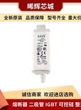 170M1572 170M4066 电子元器件 库存充足 型号齐全低压快速熔断器