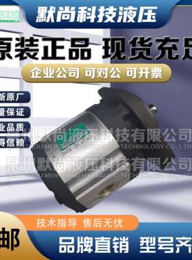 罗茨RONZIO齿轮泵03ZAG20/25/30/35/40/45/50/55/60/64C液压油泵