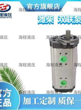 2CBT-F4/F4系列东方红LG双联泵 FG1804-2204潍柴双联泵