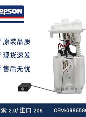 毕加索2.0/进口206 燃油泵总成 1052117 E10204M 0986580310