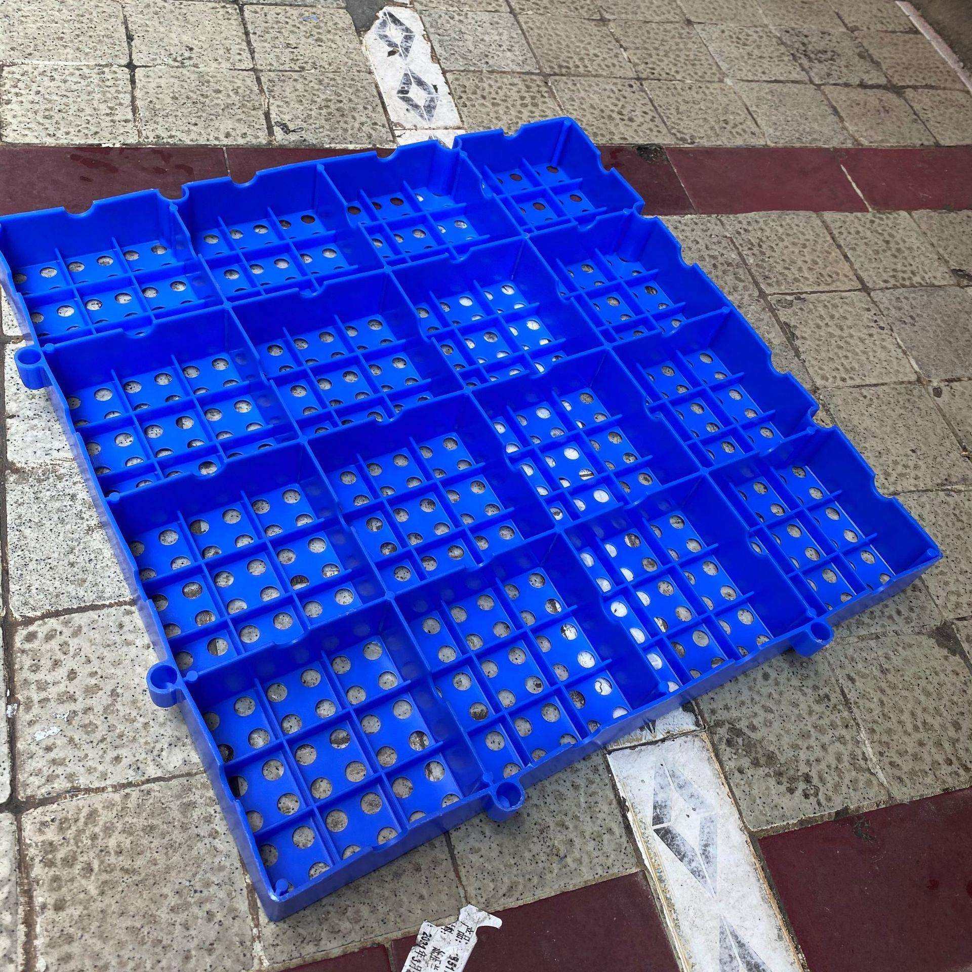 圆孔小垫板网格可拼接防潮垫板800*800*50MM仓库塑料垫板货物垫板,鲜花速递/花卉仿真/绿植园艺,割草机/草坪机,淘宝优惠券,粉丝福利购,淘宝优惠卷