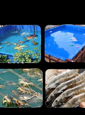 透明帆布鱼池防水布养鱼池带支架养殖水箱可移动鱼池加厚蓄水池