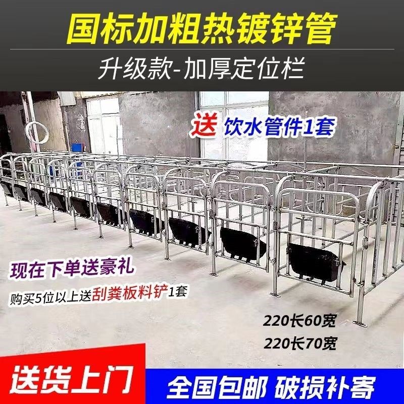 母猪地面猪用限位栏养猪场设备加厚地面围栏猪圈漏粪板设备