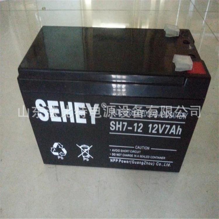 德国西力铅酸蓄电池SH7-12免维护12V12AH太阳能路灯 西力SH7-12