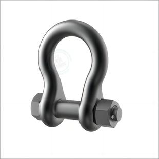 Thread Lifting Lane 316S 英制美制吊环 Carr Eye