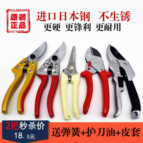 果树枝修剪省力剪刀园林园艺工具植物修花粗枝剪子家用花枝剪刀器