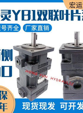 仙居永灵双联叶片泵YB1-2.5-10/2.5-10油泵YB1-65-100/32-50液压
