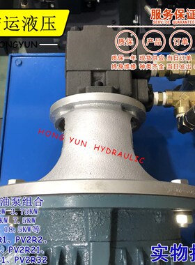 液压油泵电机组PV2R1/R2+2.2KW液压泵总成内轴电机液压站配件系统