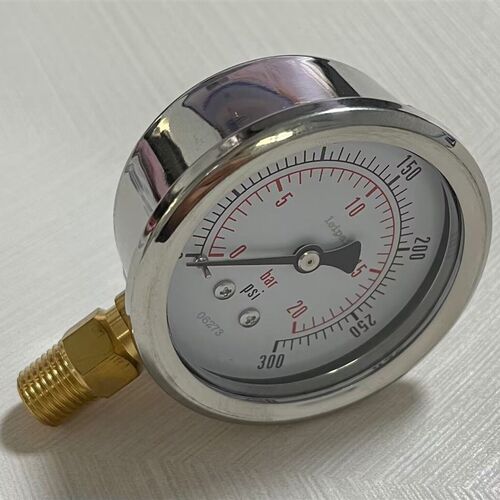 不锈钢外壳铜接头压力表 y-631i 0-20bar 0-300psi 60mm ZG1/4