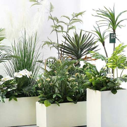 室内假植物装饰仿真花槽造景仿生绿植景观落地盆栽摆件