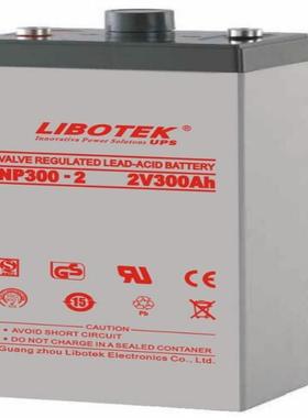 LIBOTEK蓄电池NP200-2 NP300-2 NP400-2 NP500-2 2V200AH400 500