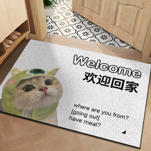 进门地垫网红防滑除尘入户蹭土丝圈地垫动物搞笑活着回Z来就行脚