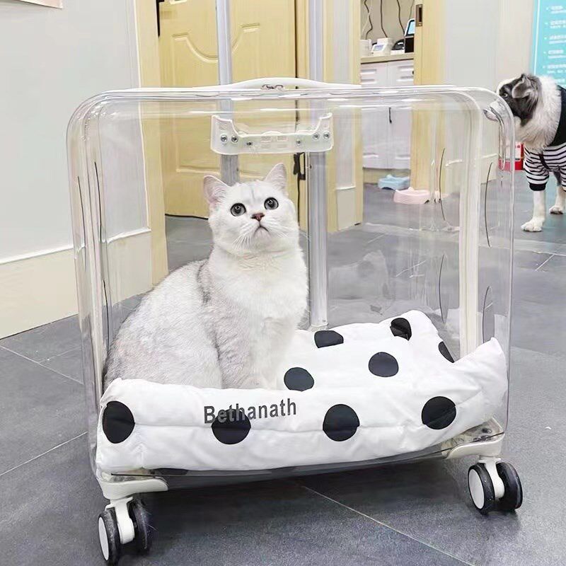 宠物拉杆箱d外出便捷透明猫包狗狗手推车太空舱背包大容量行李箱