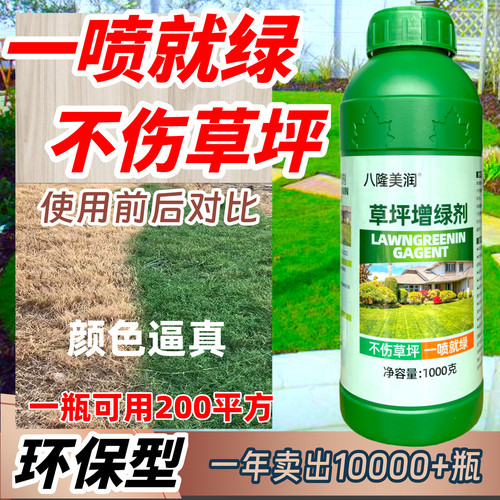 园林婚礼草坪急救草坪染色剂