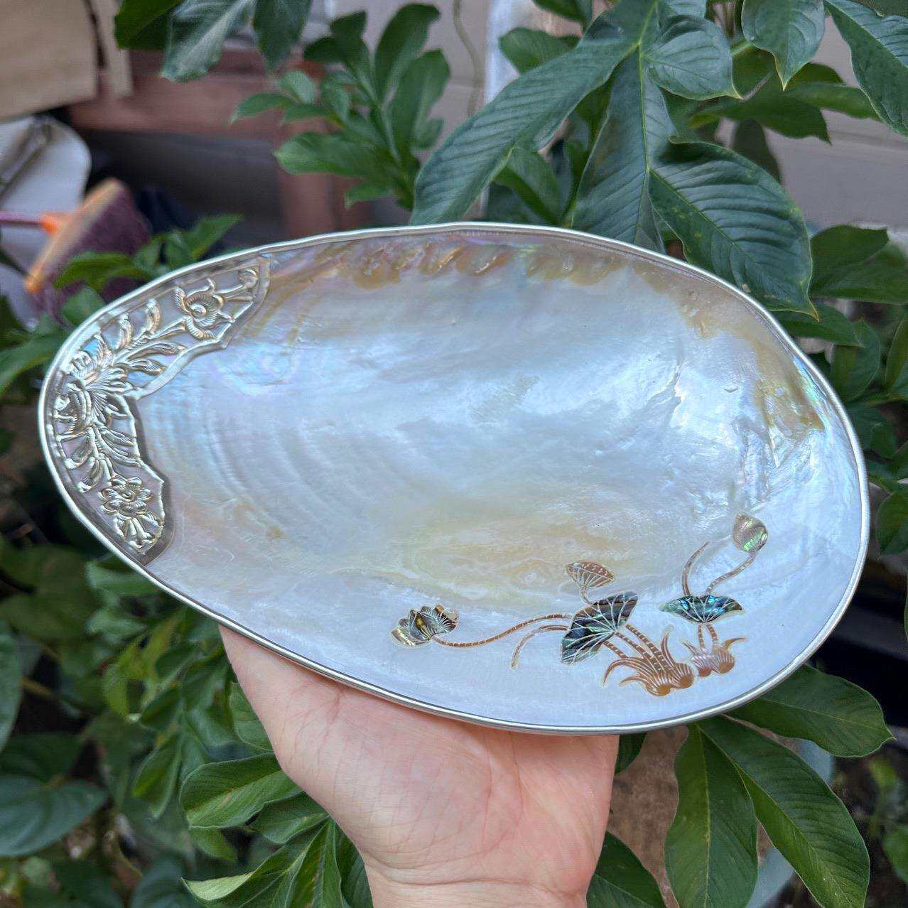 天然贝壳水果干果盘首饰贝壳镶嵌花边大号糖果家用收纳盘酒店摆盘