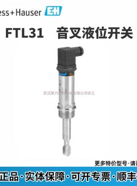 FTL31-11W5/0 FTL31-AA1U3BAWSJ德国E+H 音叉液位开关 现货