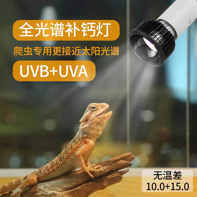 乌龟晒背灯保温补钙 uva+uvb全光谱太阳灯蜥蜴陆龟加热爬宠虫灯泡