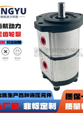 力士乐Rexroth齿轮泵AZPFF-12-10/10RR0202MB液压泵PGE104双联油