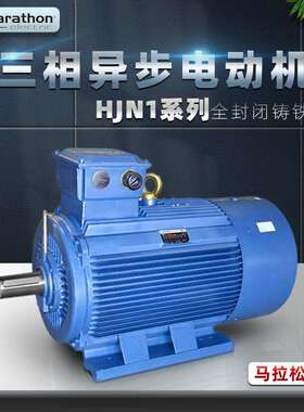马拉松电机marathon电动机HJN1系列三相低压马达铸铁18.5KW现货