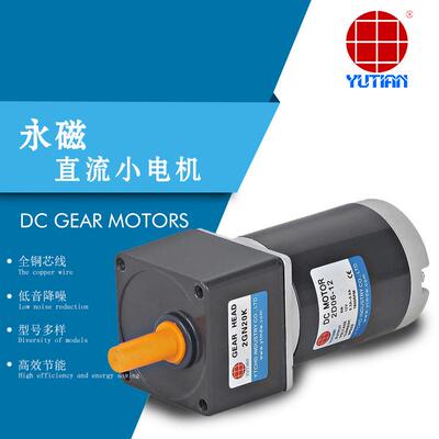 厂家直销6W电机2D06-24GN-18S微型直流小马达,24V永磁直流电机